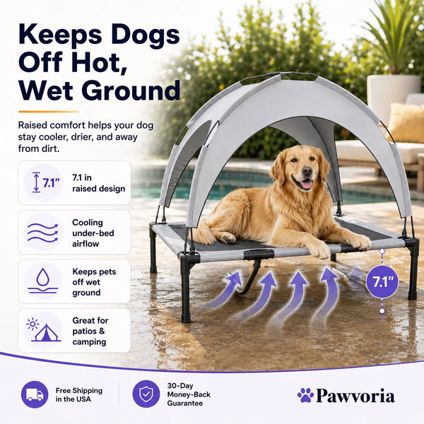 Elevated Dog Bed with Canopy for Large Dogs