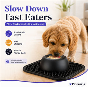 Slow Feeder Dog Bowl & Silicone Lick Mat with Suction Cup