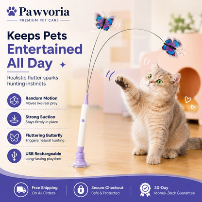 Interactive Butterfly Cat Toy