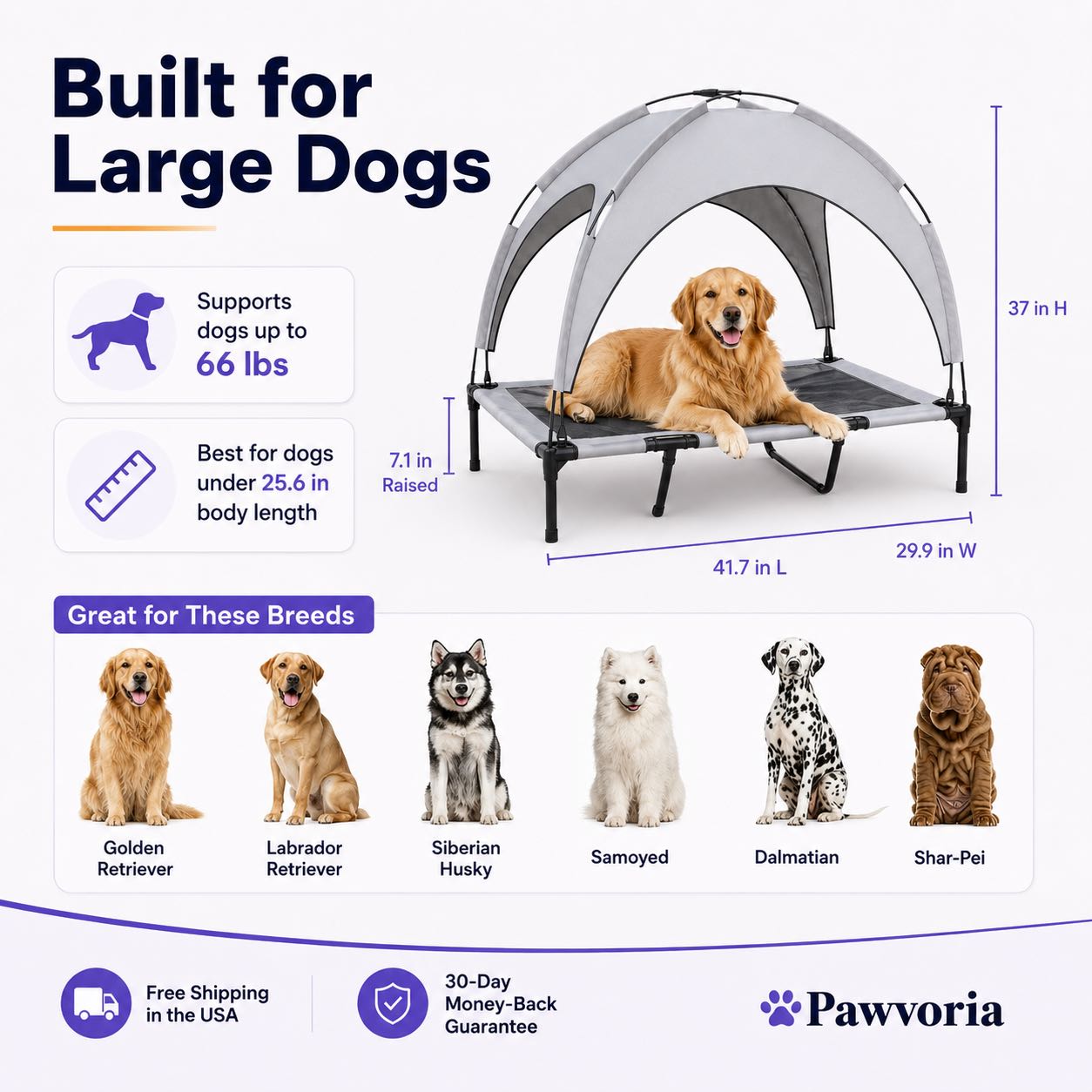 Elevated Dog Bed with Canopy for Large Dogs