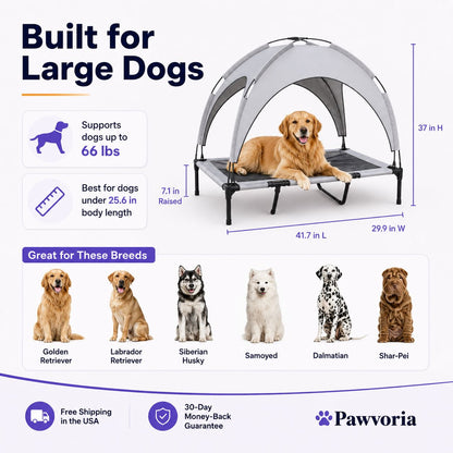 Elevated Dog Bed with Canopy for Large Dogs