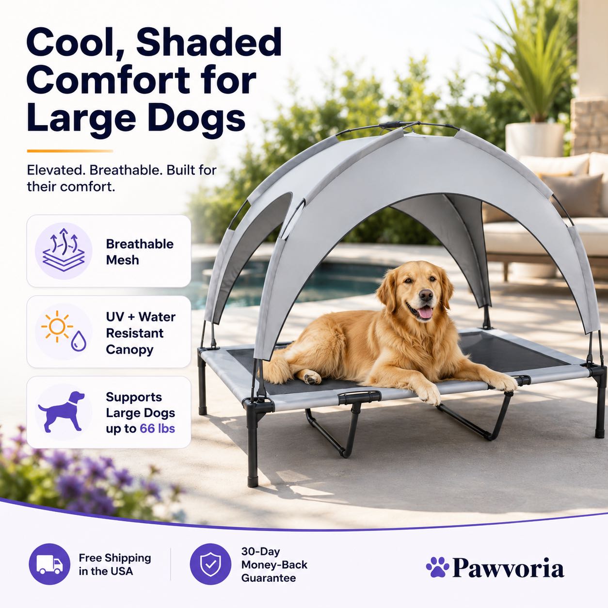 Elevated Dog Bed with Canopy for Large Dogs