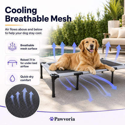 Elevated Dog Bed with Canopy for Large Dogs