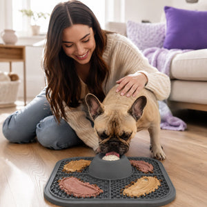 Slow Feeder Dog Bowl & Silicone Lick Mat with Suction Cup