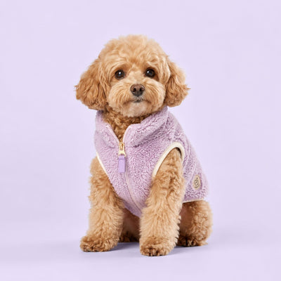 Pet jackets