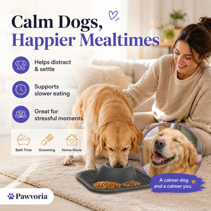 Slow Feeder Dog Bowl & Silicone Lick Mat with Suction Cup