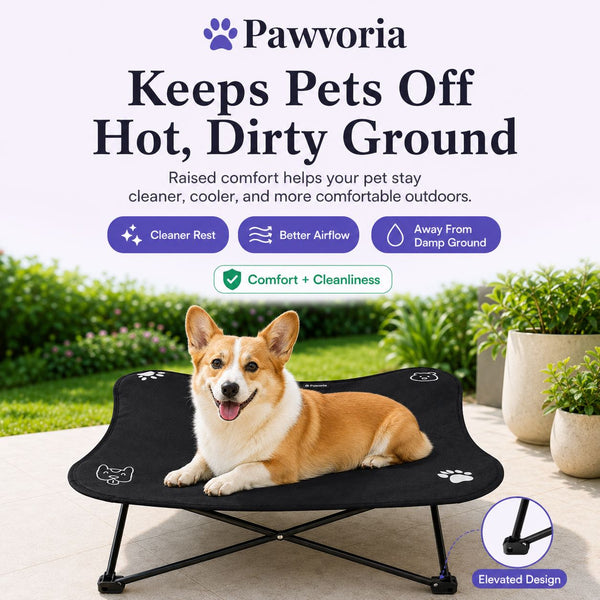 Elevated Dog Bed – Indoor & Outdoor Portable Folding Cot